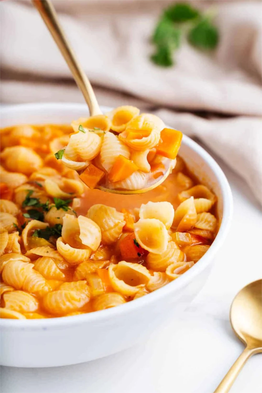 Sopa servida em prato fundo branco com macarrão tipo concha, legumes e caldo, sobre mesa clara.